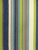 Dexter Multi Bella Dura Fabric